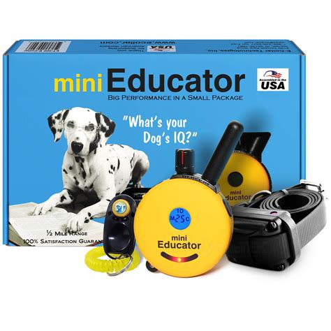 Mini Educator Collar Addressing Unwanted Behaviors