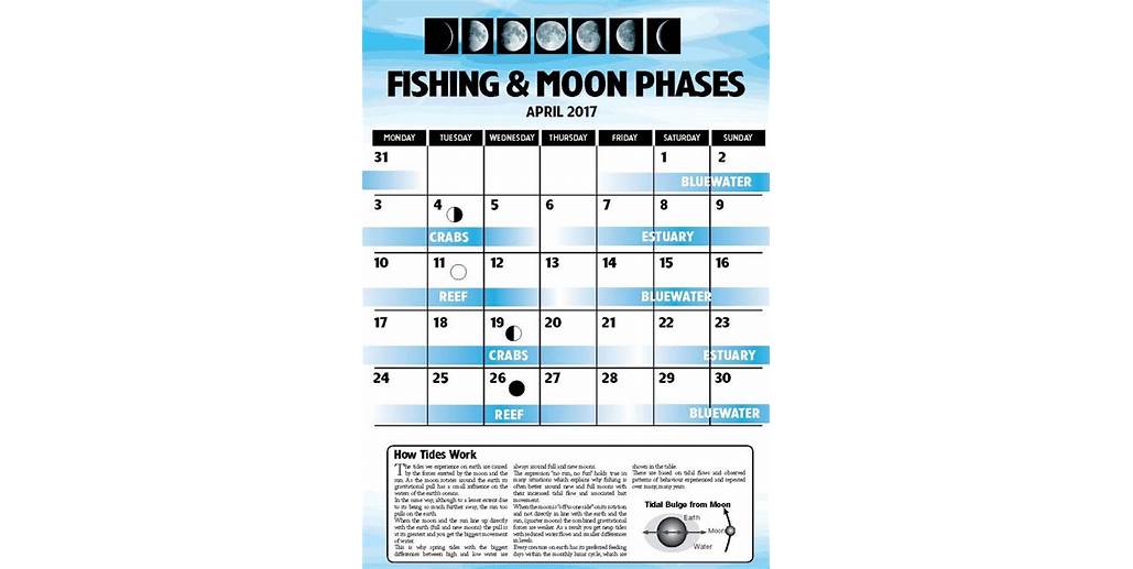 Moon phase and fishing