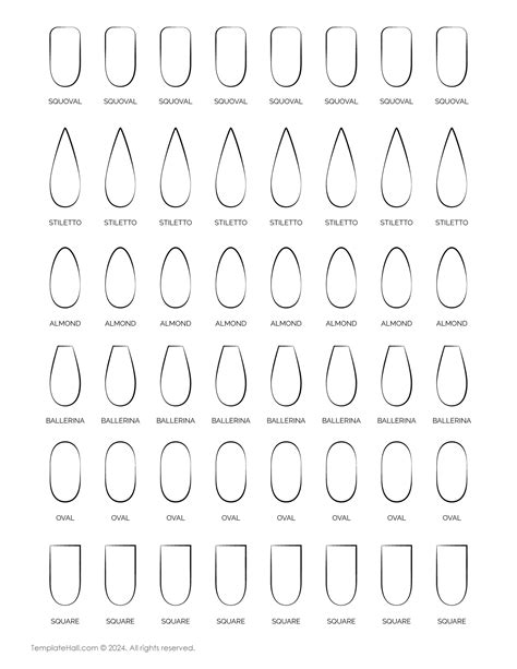 Nail Template Png