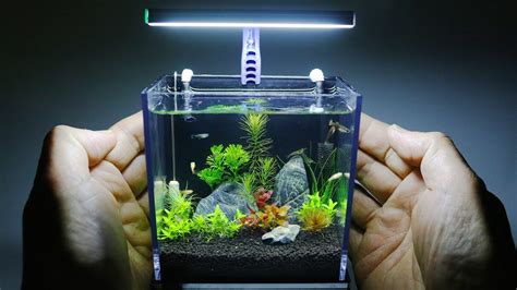 Nano Fish Tank