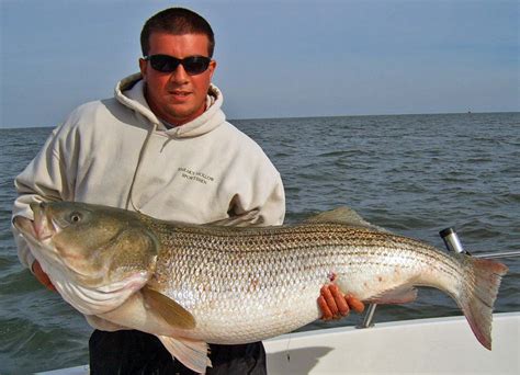 Ocean City NJ Fishing Charter