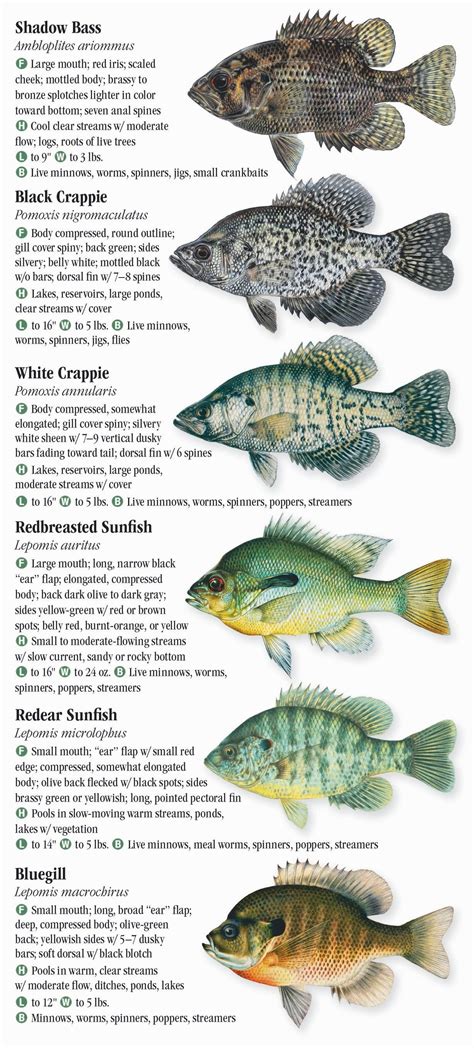 oklahoma fish and game endangered species
