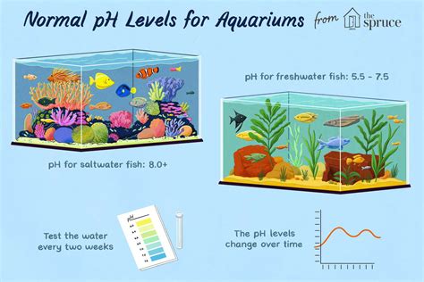 pH level in a fish tank
