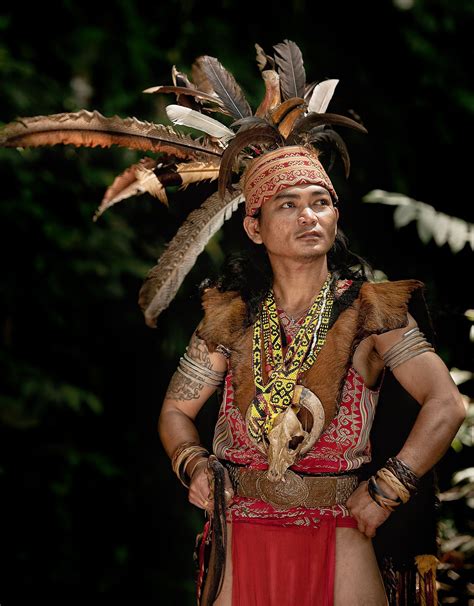 Pakaian Adat Dayak Baju Burung