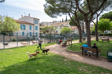 parc à chien à Marseille
