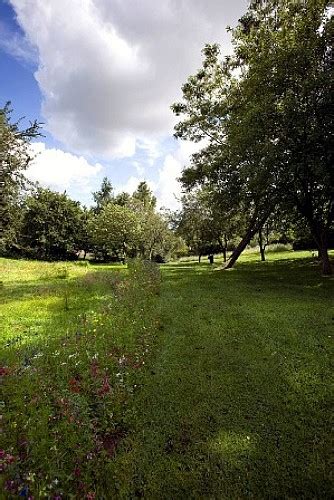 parc du petit bily à Plancoët