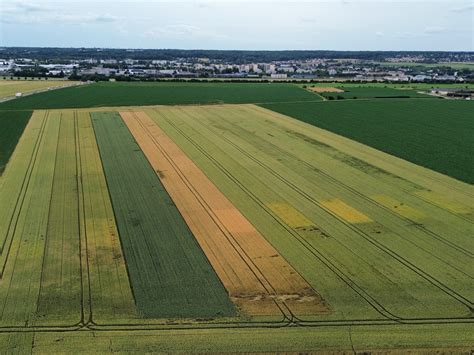 parcelle à Rezé