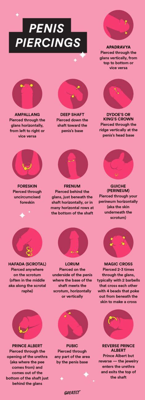 Penile Piercings Chart