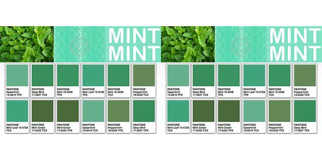 perbedaan warna sage green dan mint