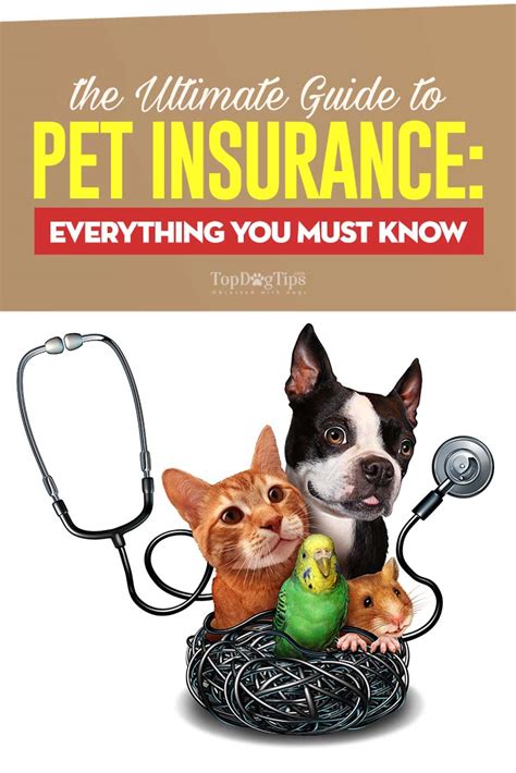 Pet's Best Insurance Plus