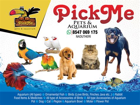 pickme pets and aquarium