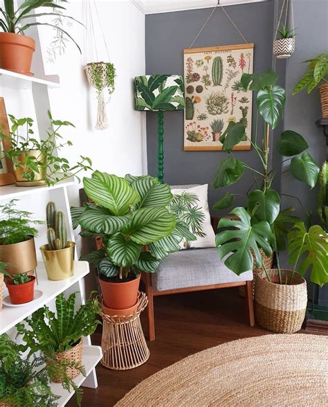 Plants Living Room Decor