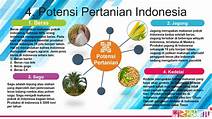 Potensi Pertanian di Indonesia