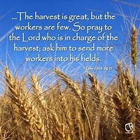 Pray for a Good Harvest