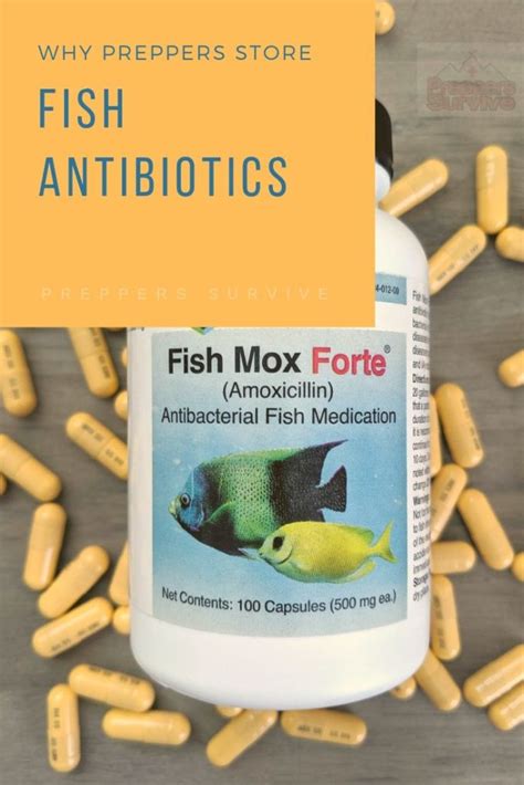 prepper fish antibiotics