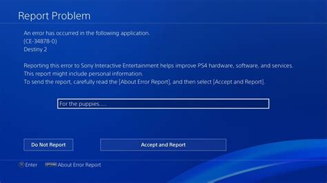 PS4 Software Problem