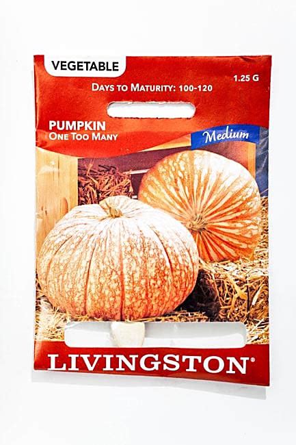 Pumpkin Seed Catalogue