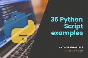 python script