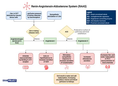 Raas System Flow Chart