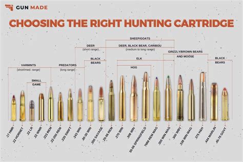 Rifle Caliber Chart