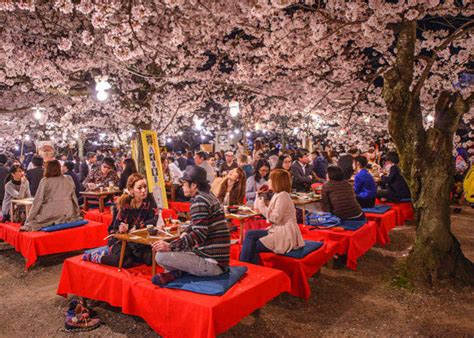 Sakura People Gathering