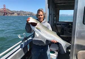 San Francisco fishing tips