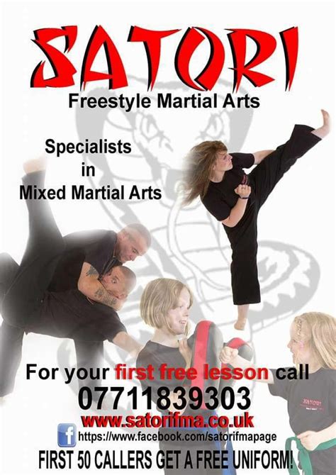 satori freestyle martial arts and kickboxing academy