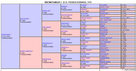 Secretariat Lineage Chart