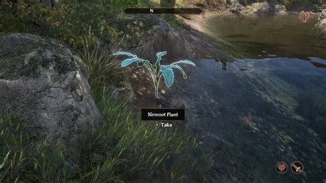 Seeking Your Roots Walkthrough