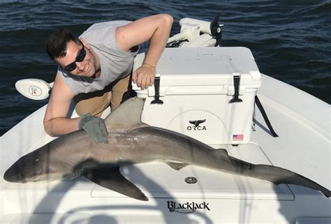 Shark Fishing in Charleston SC