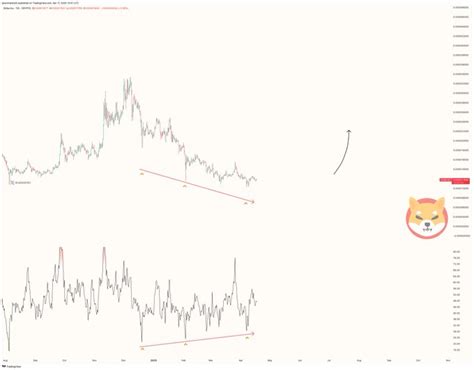 Shiba Inu Chart Pattern Potential Surge