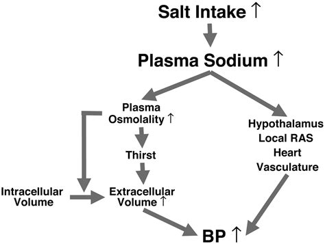 sodium and blood pressure