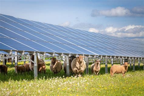 Solar Power for Animal Farm