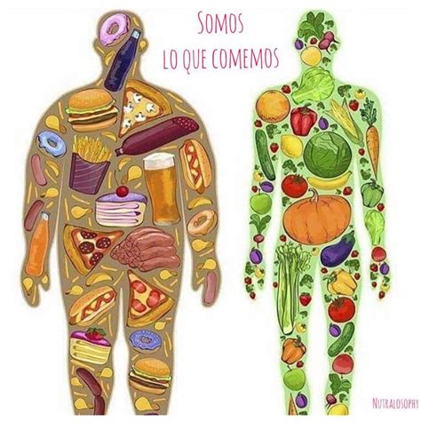 download somos lo que comemos