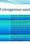 sources of nitrogenous wastes