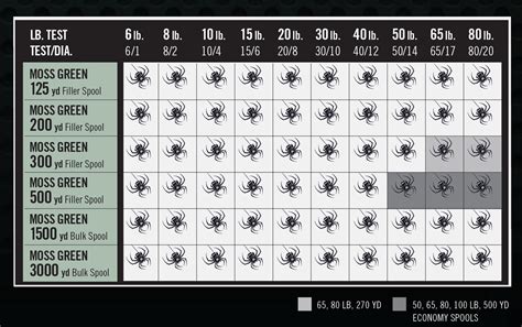 Spiderwire Braid Diameter Chart