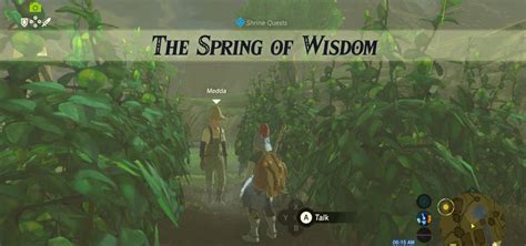 Spring Of Wisdom Walkthrough