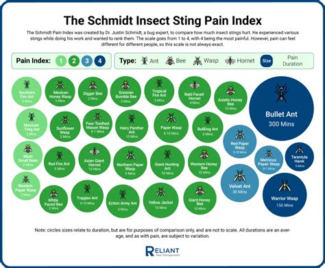 Sting Pain Chart