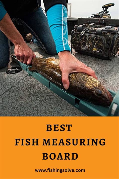 Storing Fish Measuring Board