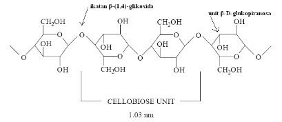 Selulosa