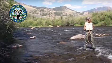 Summer Fishing on Blue River