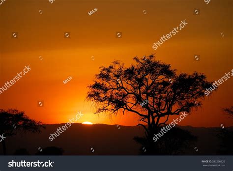 sunset tarangire