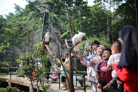 Taman Burung Kebun Binatang Bandung