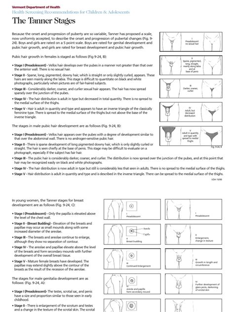 Tanner Chart Stages Of Puberty
