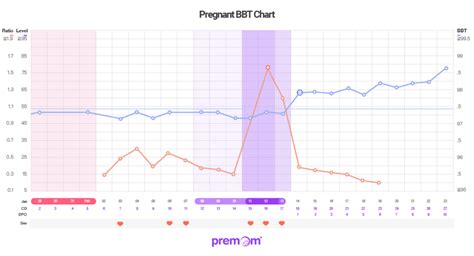 Temperature Chart When Pregnant