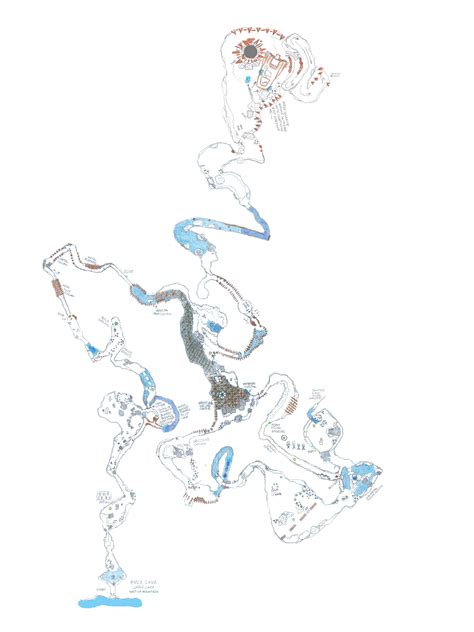 The Forest Cave Walkthrough