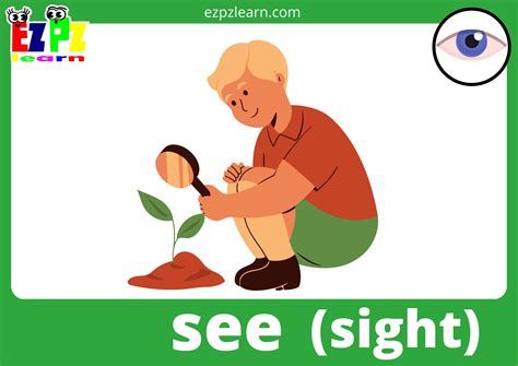 download the sight