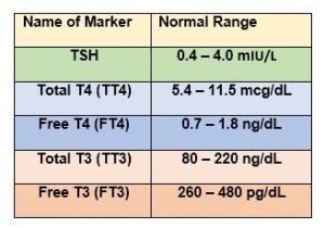 Thyroid Levels Tsh Chart