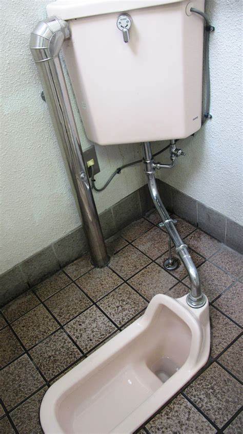 Toilet Tradisional Jepang
