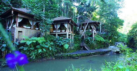 trekking hutan di Green Forest Resort Villa indonesia